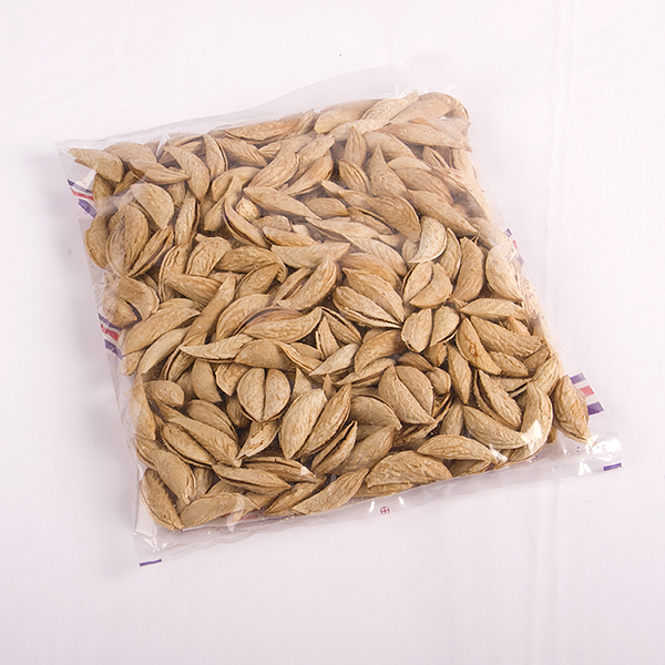 Almond | Badam In Shell (Kagzi) 500g - Image 3